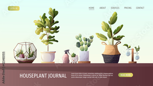 Collection of houseplants. Florarium, home garden, greenhouse, gardening, plant lover concept. Vector illustration for poster, banner, website.