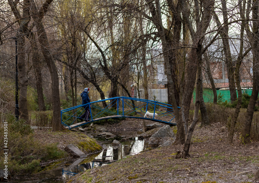 Fototapeta premium Bridge in Plumbuita Park. March 25, 2019, Bucharest, Romania