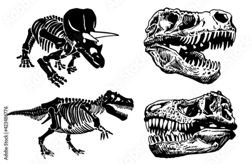 Paleontological set of dinosaur skulls and skeletons on white background,vector elements
