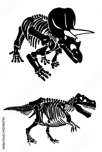 Paleontological set of dinosaur skulls and skeletons on white background,vector elements