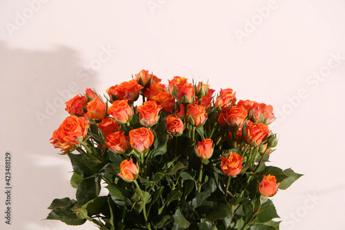 Bouquet of red roses on a white background. Designer bouquet for a wedding close-up.