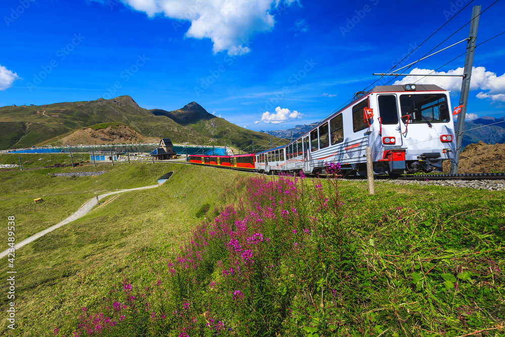 Electric cogwheel tourist train on the steep railway, Grindelwald, Switzerland Electric cogwheel tourist train on the steep railway, Grindelwald, Switzerland