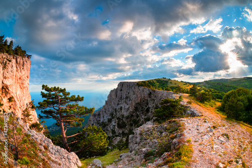 Pines on the mountains at sunset. Ai-Petri mount and view of the Black sea in Crimea. Beautiful summer landscape.