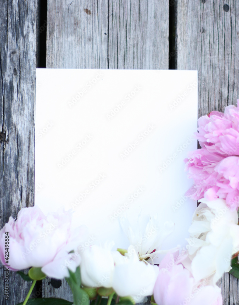 Fototapeta premium White and pink pion flowers on wooden background. Summer concept. Floral background for web site, greeting card, banner, flower shop. Mock up with pions. Focus on flowers 