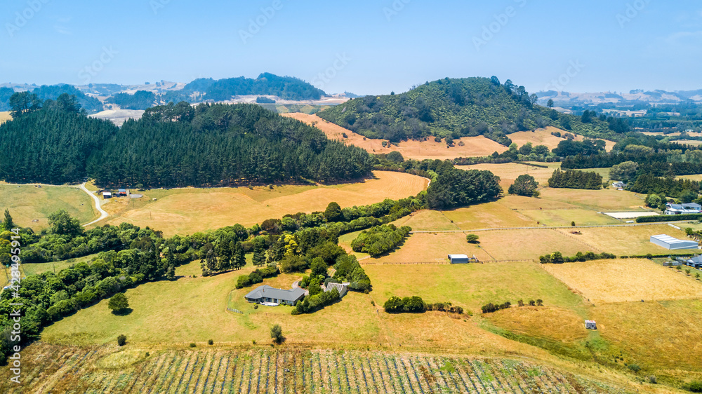Hills and mountains spotted with forest. Coromandel, New Zealand.