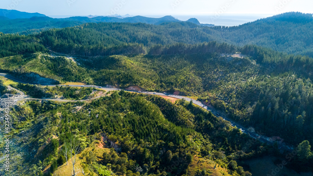 Road running through a forested hillside. Coromandel, New Zealand.