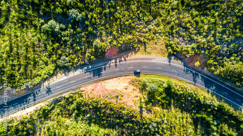 Road running through a forested hillside. Coromandel, New Zealand.