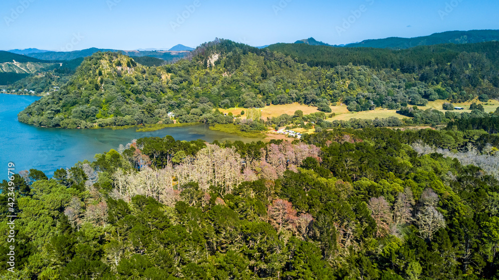 Aerial view on a little harbour. Coromandel, New Zealand. Aerial view on a little harbour. Coromandel, New Zealand.