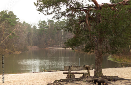 Oczko wodne, park narodowy Holandia.