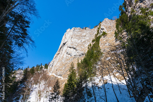 Obraz na płótnie Face wall in a canyon in Piatra Craiului National Park near Brasov w salonie