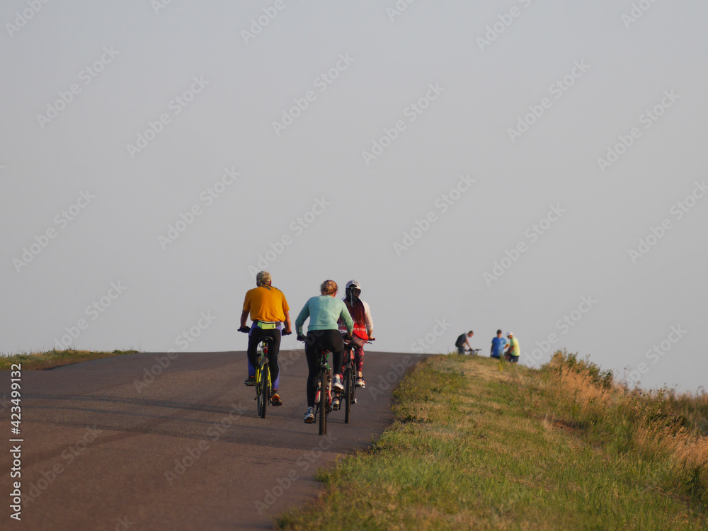 Fototapeta premium Cyclists drive forward along the road, rear view.