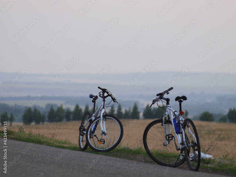 Obraz premium Two bicycles stand in a beautiful landscape.