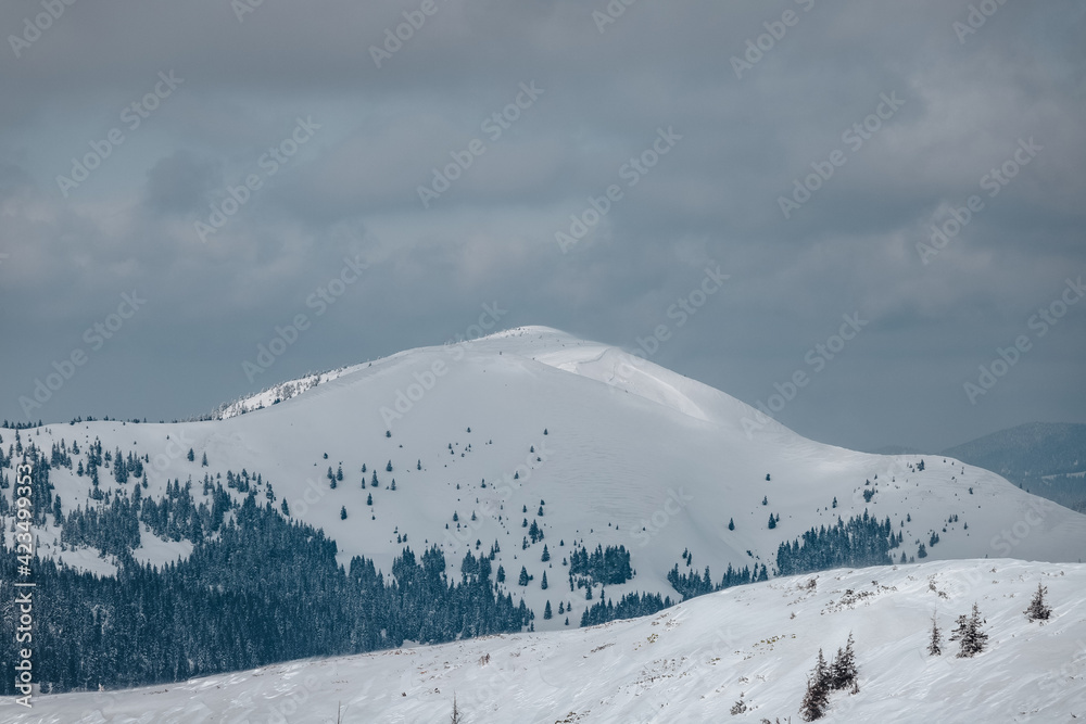 Snowy peaks of the Carpathian Mountains