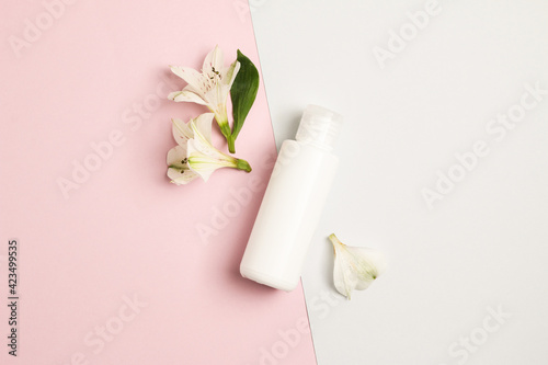 tender flatlay composition with cream flowers on pink and blue background. Concept beauty natural vitamin cosmetic product, skin care, top view