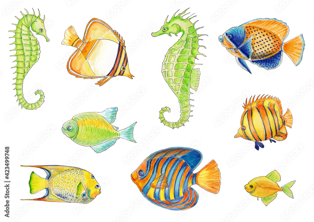 Watercolor illustrations of a set of fish and seahorses in yellow, blue and green colors isolated on a white background Watercolor illustrations of a set of fish and seahorses in yellow, blue and green colors isolated on a white background