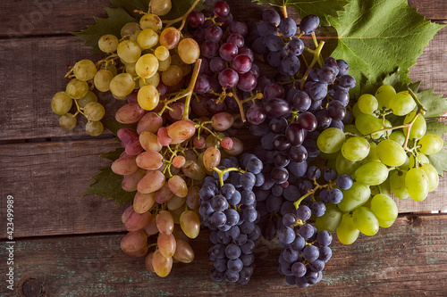 Different varieties of grapes on a wooden table.