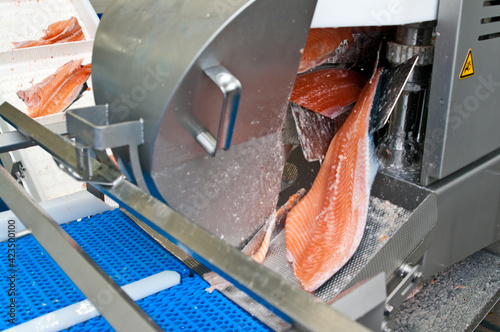 Salmon fish factory processing line detail