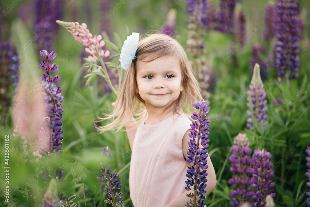 portrait of cute little happy two year old kid girl with bloom flowers lupines in field of purple flowers. Child in nature concept. Summer vacation holidays. Spring allergy season. Childhood portrait of cute little happy two year old kid girl with bloom flowers lupines in field of purple flowers. Child in nature concept. Summer vacation holidays. Spring allergy season. Childhood