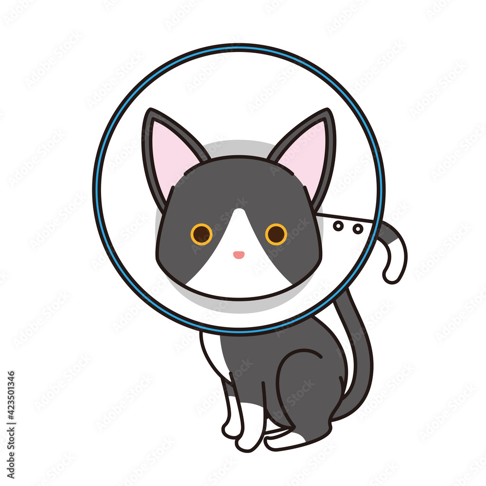 Fototapeta premium エリザベスカラーを付けた黒猫