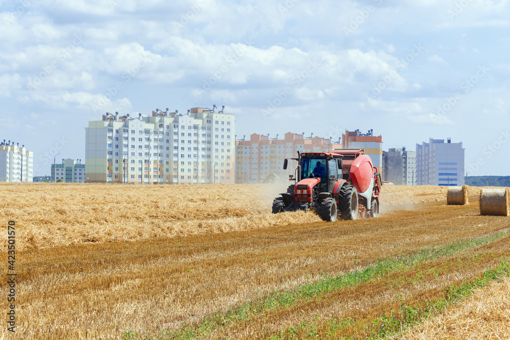 Obraz premium A round baler discharges a fresh wheat bale