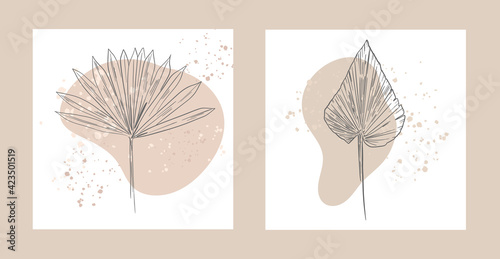 Botanical wall art. Vector Dried Sun Fan Palms. Small Pampas Grass. Bohemian cream flowers. Dry hydrangea. Dried flower bunches, BLUSH Dry preserved