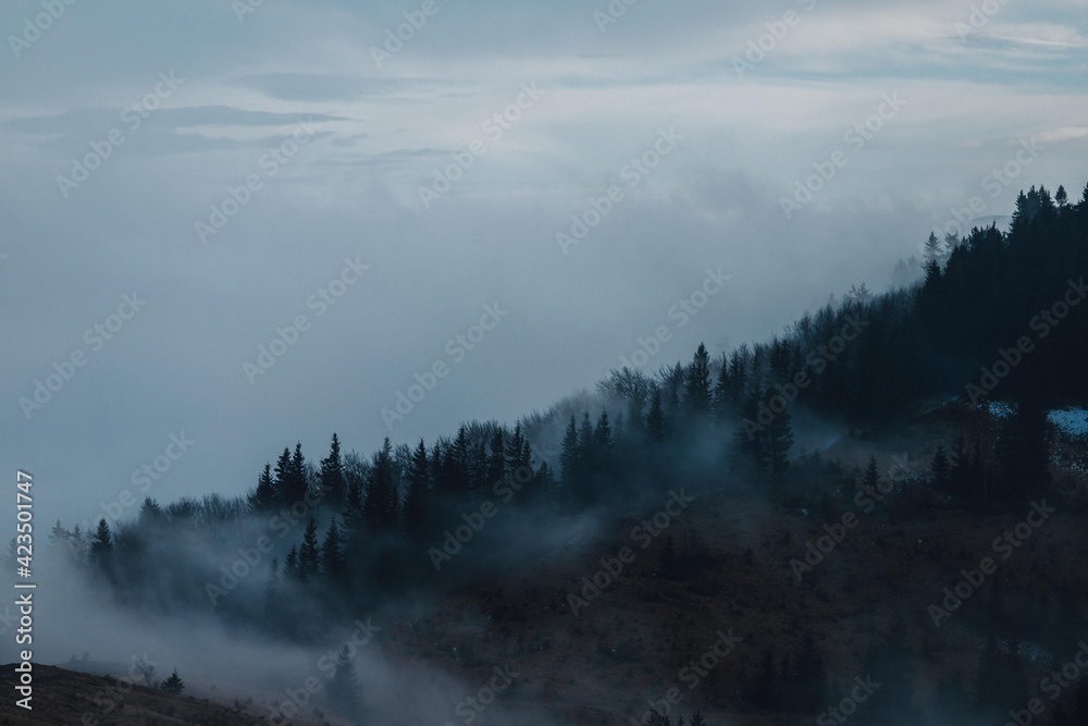Mysterious peaks of the Carpathian mountains