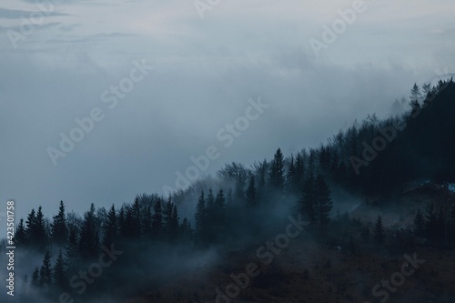 Mysterious peaks of the Carpathian mountains