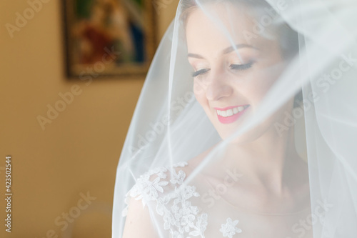 portrait of a beautiful young woman in a white robe under a wedding veil. the bride's morning before the ceremony and meeting with the groom. Newlyweds.