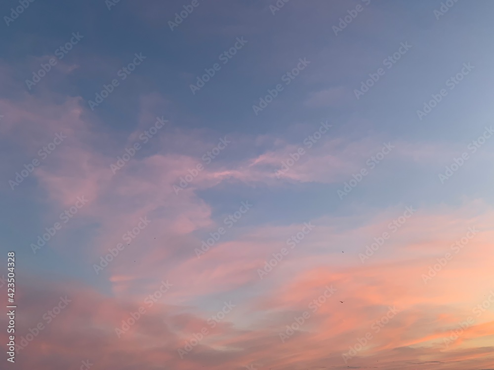 Pinky clouds on the sky