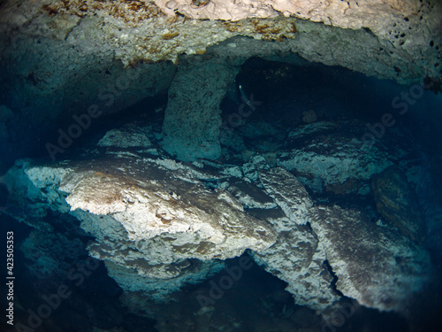 Stalactite underwater cave (Cenote Ponderosa, Playa del Carmen, Quintana Roo, Mexico) © Mayumi.K.Photography