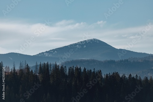 Carpathian mountains  winter  snow-capped peaks  viaduct  horse