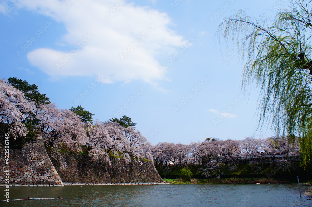石垣 石垣