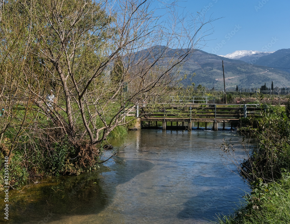 Nahal Dan in Kibbutz Dafna with snow-covered Mount Hermon in the background, Hula Valley, Upper Galilee, Northern Israel, Israel.