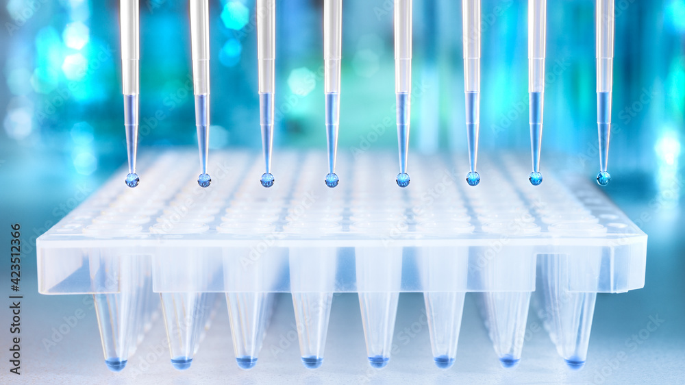 Photography Multichannel pipette, tool for DNA amplification