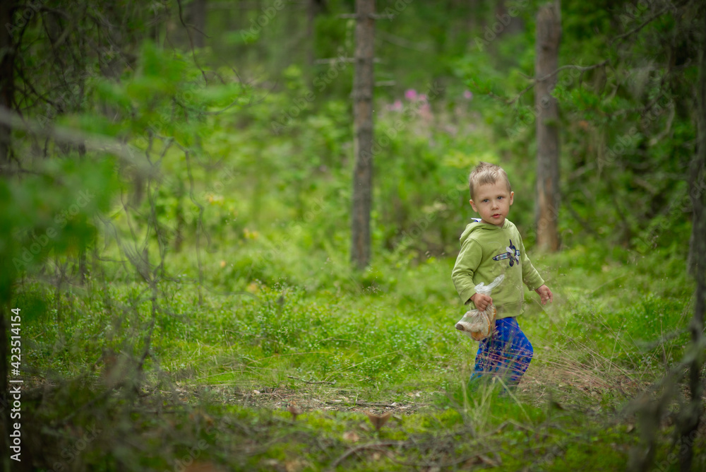 a child walks in a mushroom forest. selective focus a child walks in a mushroom forest. selective focus