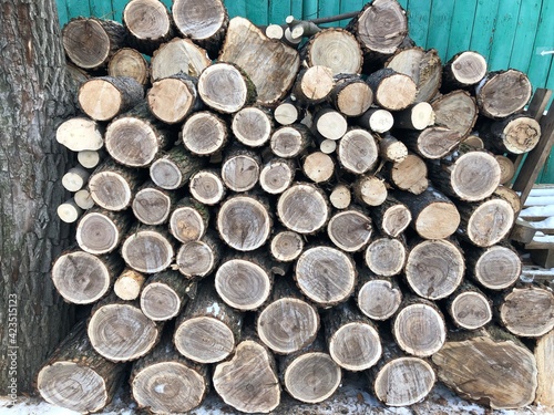 The background consists of saws of thick logs stacked on top of each other in the form of a woodpile. Annual rings are visible on the cross-section of the trunks.