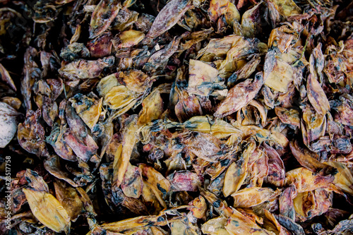 Dried seafood on the market...