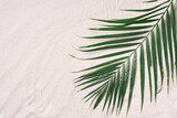 Top view of green tropical leaves on sand background. Flat lay. Minimal summer concept with palm tree leaves