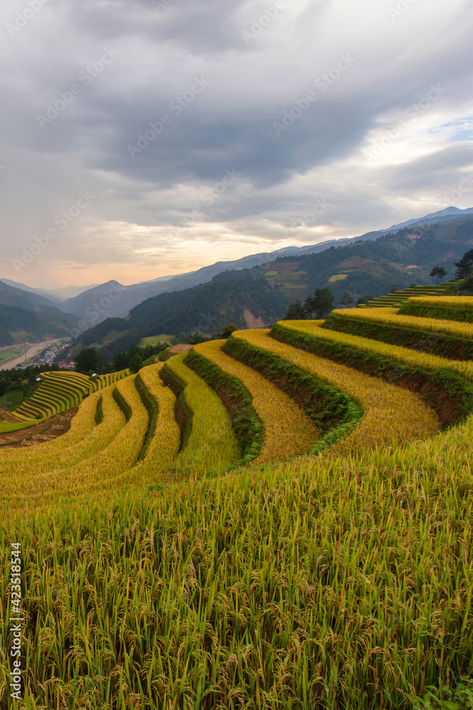 Green terraced rice fields at Mu Cang Chai
