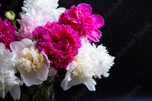 Fototapeta Naklejka Na Ścianę i Meble -  Bouquet of peonies with water drops. Black background. Close-up, selective focus.