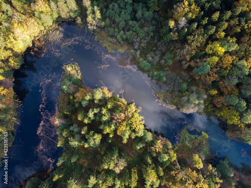 Aerial view of summer forest landscape with river with reflection of white clouds and blue sky in water
