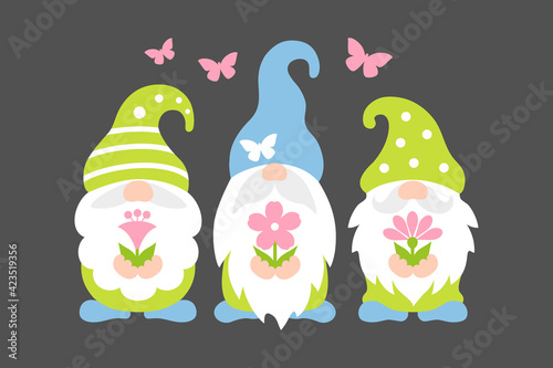 Spring gnomes with flowers and butterfly . Funny vector illustration. Cute scandinavian characters. Three dwarf with beards and hats. Nordic gnomes in cartoon style. Holiday greeting card.