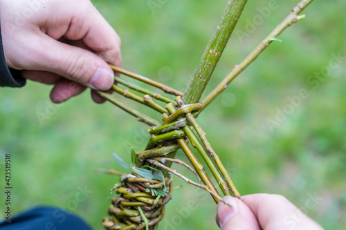 Making of traditional braided whip from pussywillow twigs for Easter Monday. Whip is known as "pomlazka", "tatar" or "karabáč" in Czech republic.