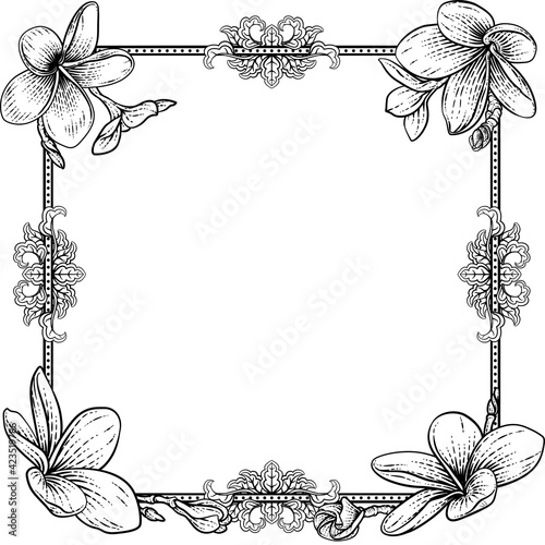 Plumeria Frangipani Tropica...