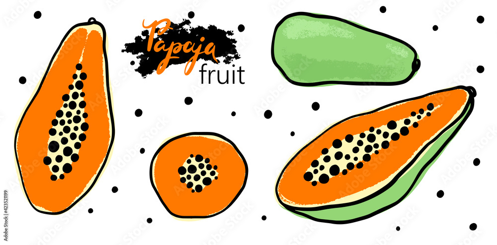 Set orange papaya. Collection hand drawn whole and sliced fruit of tropical fruit with flesh, seeds. Dietary vegan food, organic. Doodle jungle fruits. Vector flat illustration