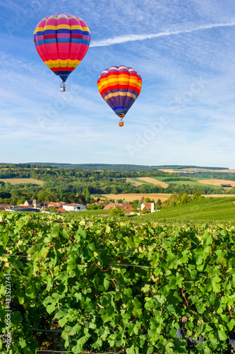 Colorful hot air balloons flying over champagne Vineyards at sunset montagne de Reims
