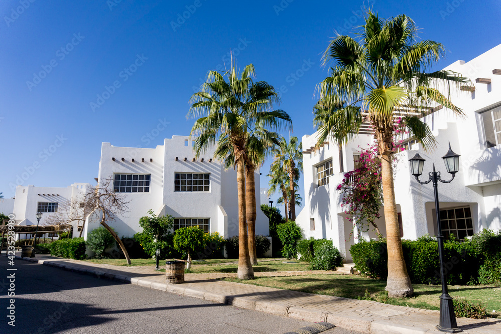 Beautiful white houses at the tropical garden with palms
