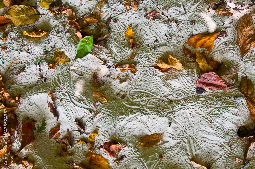 Obraz premium a patch of sand on a beach in koh rok island thailand with crab footsteps marks