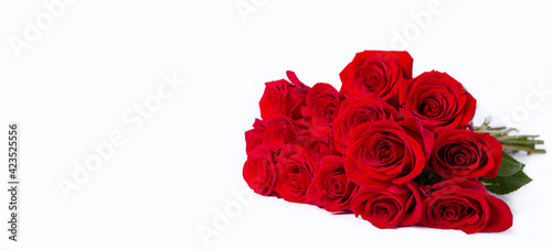 Bouquet of red (burgundy) roses on a white background. Copy space for text, flat lay. Banner. Close-up.