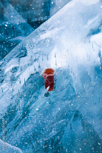 Baikal kiss shot. A shot of red liqueur in the ice. Textured ice with cracks in winter at the lake Baikal.